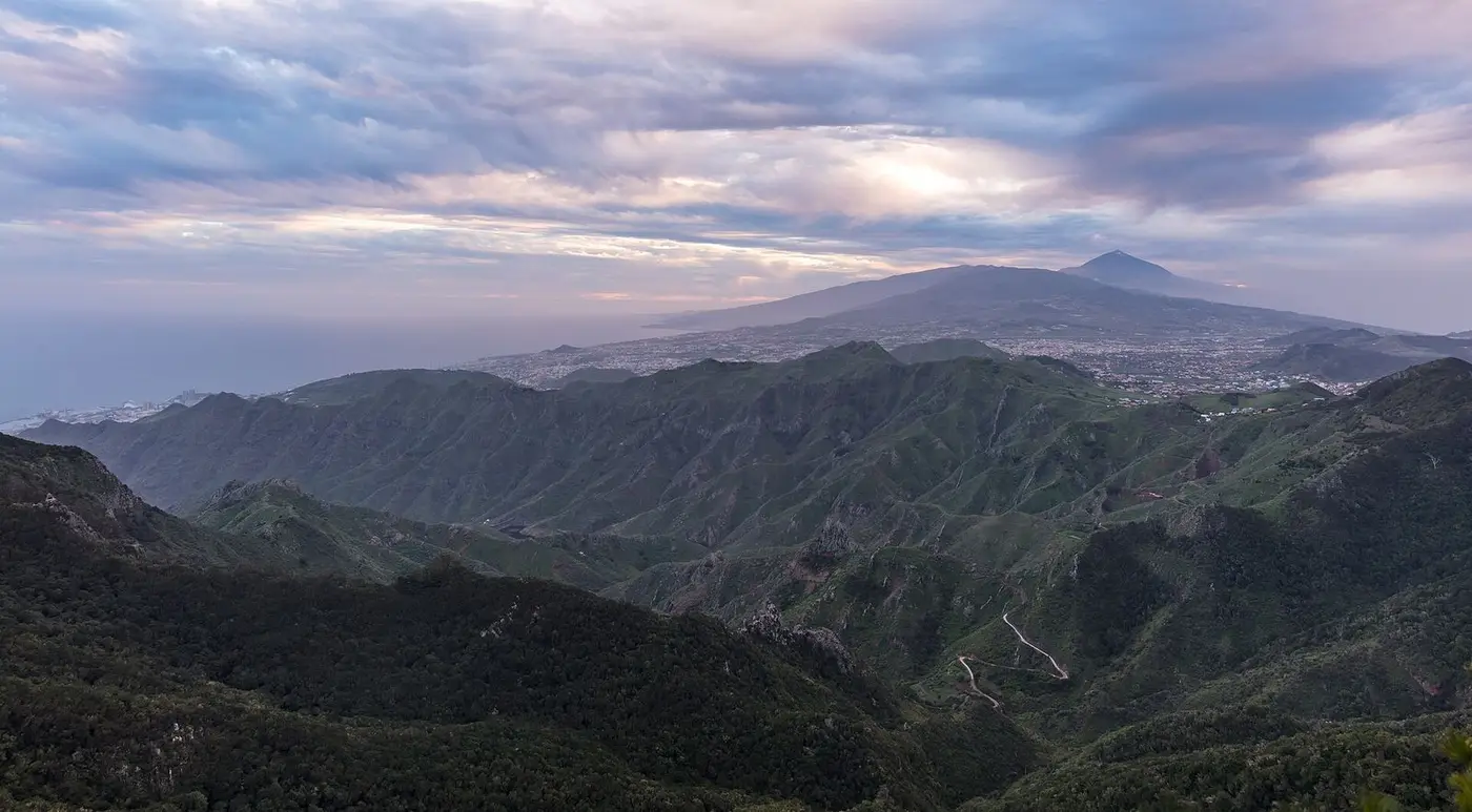 Der Wald, in dem Teneriffa wie eine andere Insel wirkt