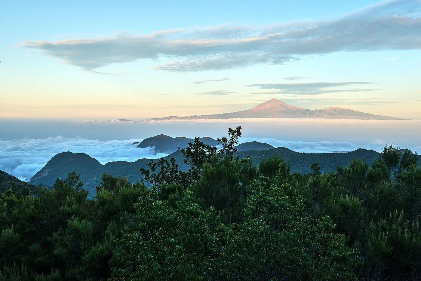 La Gomera oder Teneriffa? Ein ehrlicher Vergleich – und wie Sie beide Inseln kombinieren